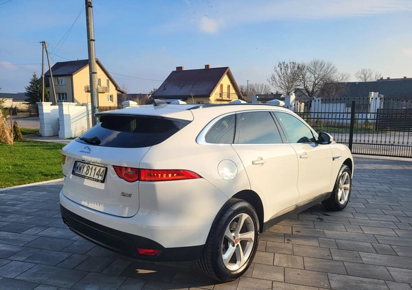 Jaguar F-Pace cena 169500 przebieg: 17500, rok produkcji 2020 z Wyszków małe 742